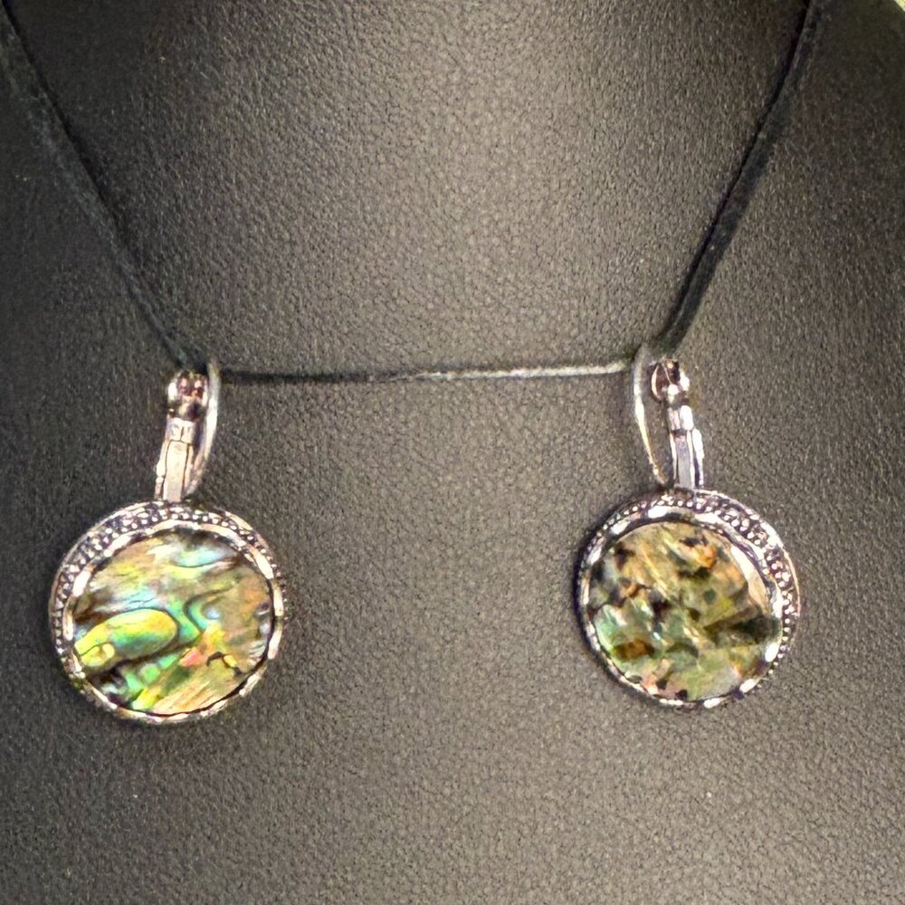 🌈 Sale! 🌈 NEW Leverback abalone earrings